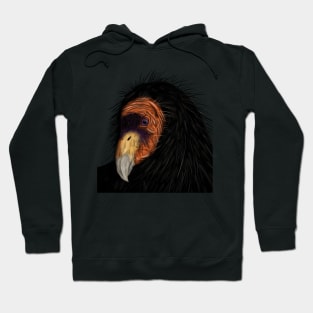 Illustrated California Condor Hoodie